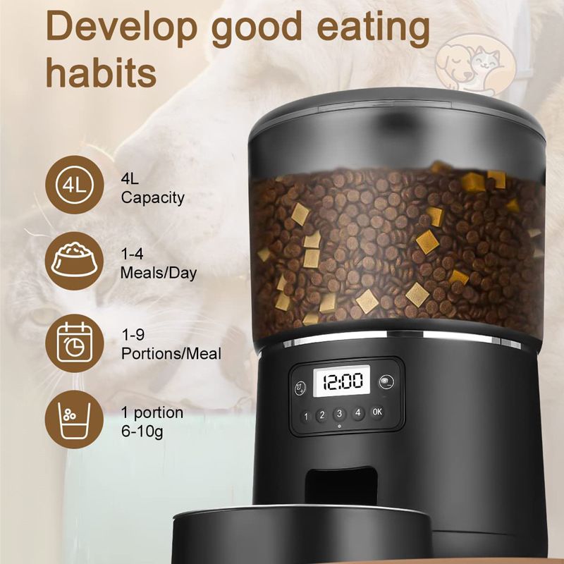 cat feeder