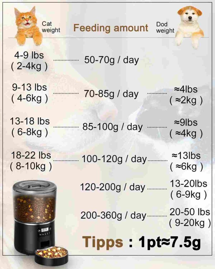 cat feeder
