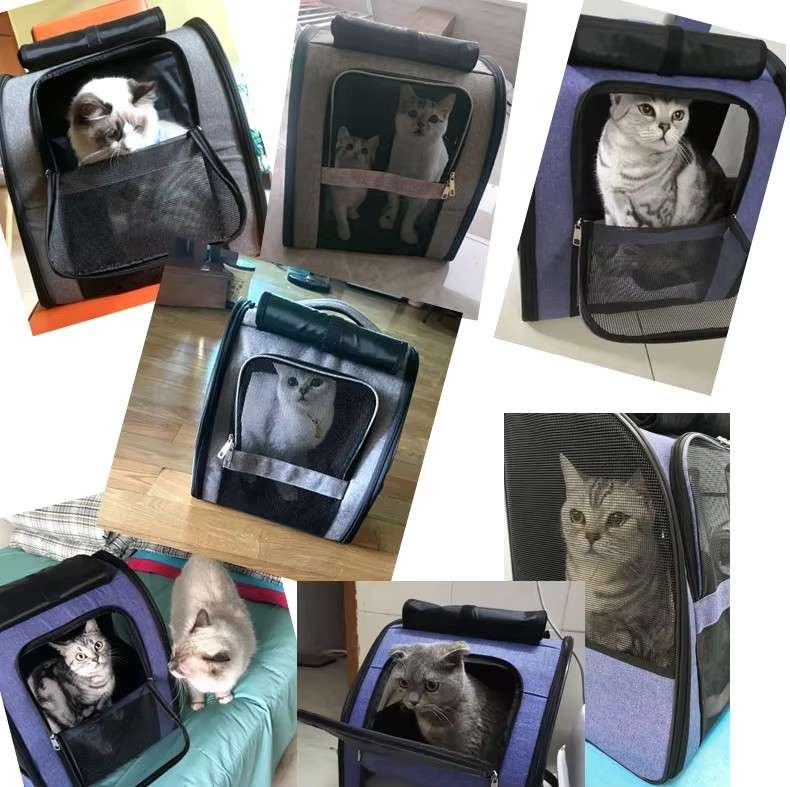Cat Carrier Backpack