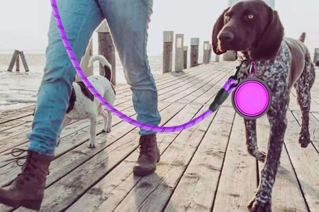 Dog Rope Leash
