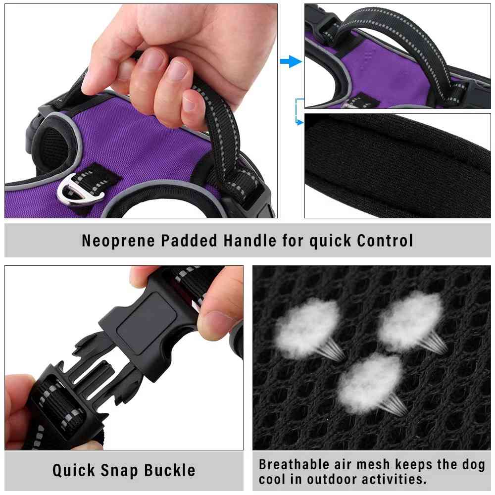 No Pull Dog Harness