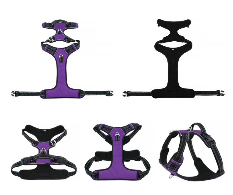 Dog Harness