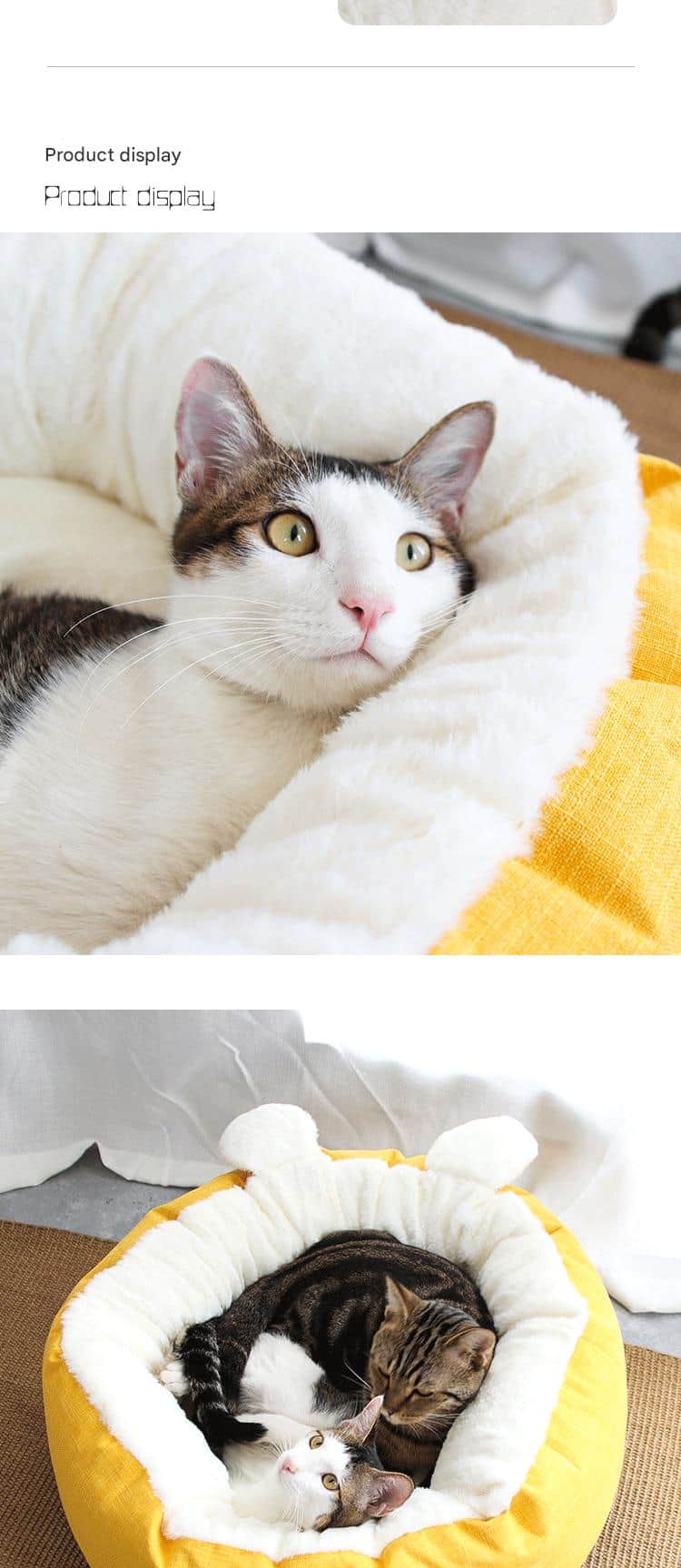 cat bed