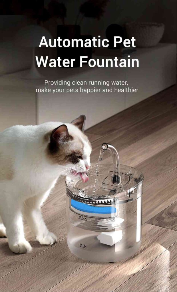 cat water fountain