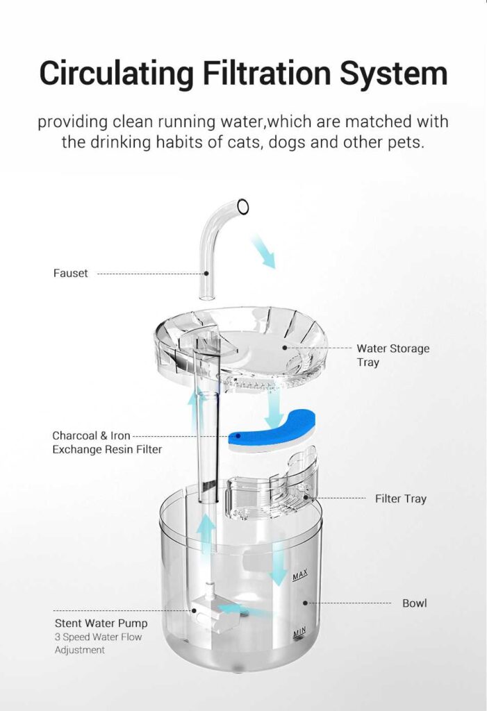 cat water fountain