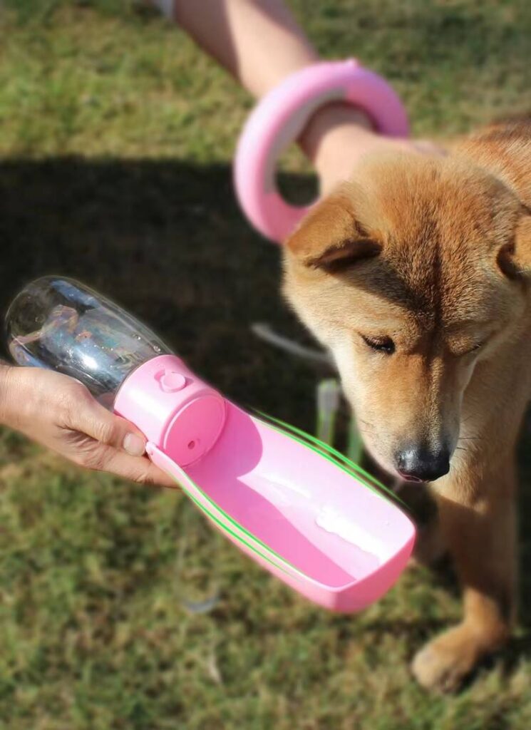 travel pet water dispenser