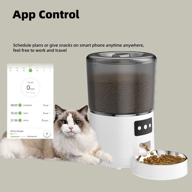 auto cat feeder