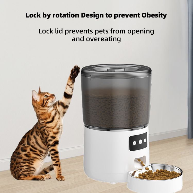 automatic cat feeder
