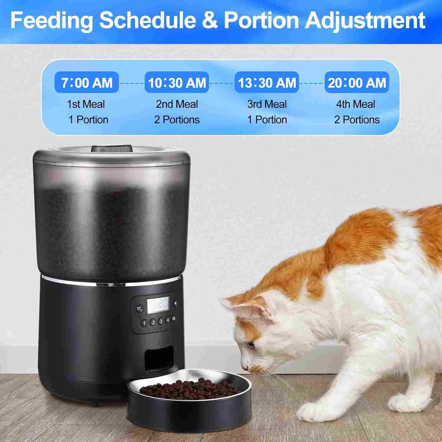 cat feeder
