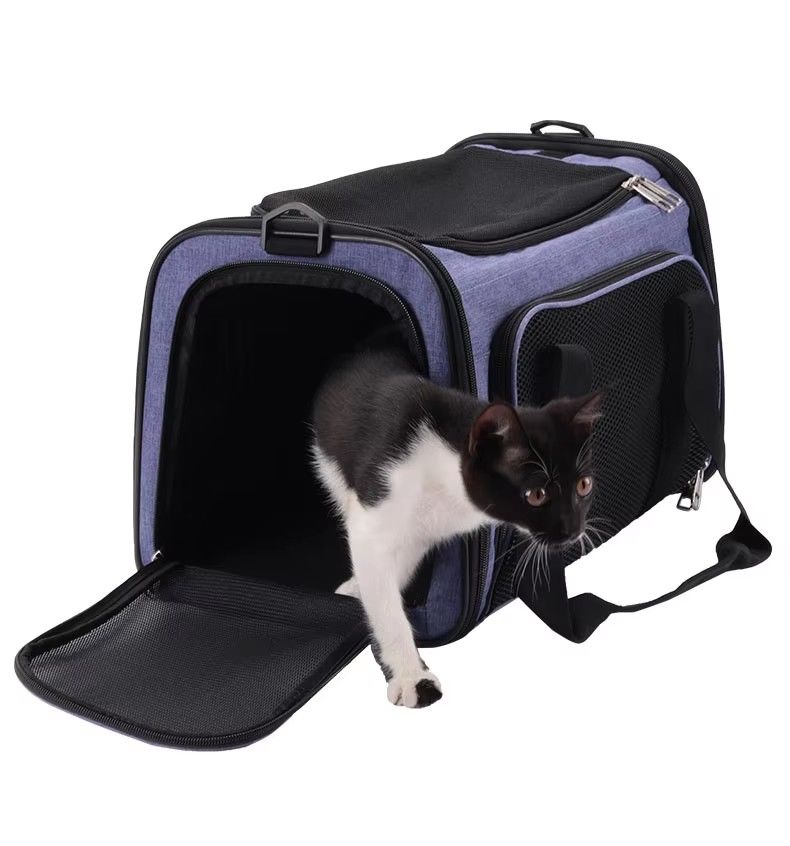 Car Pet Travel Carrier