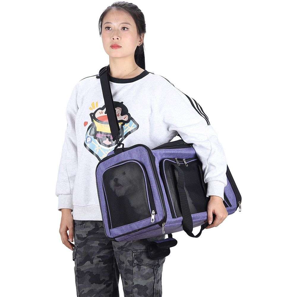 Car Pet Travel Carrier