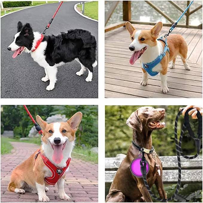Dog Rope Leash