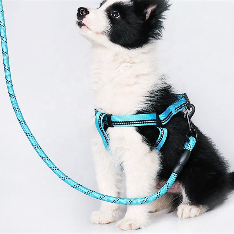 Dog Rope Leash