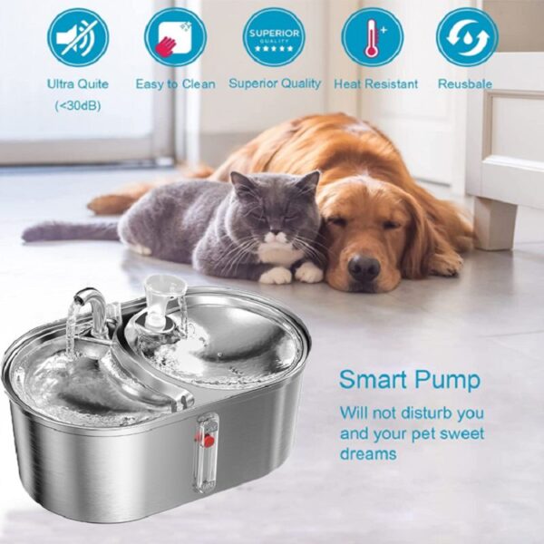 Dog Water Fountain