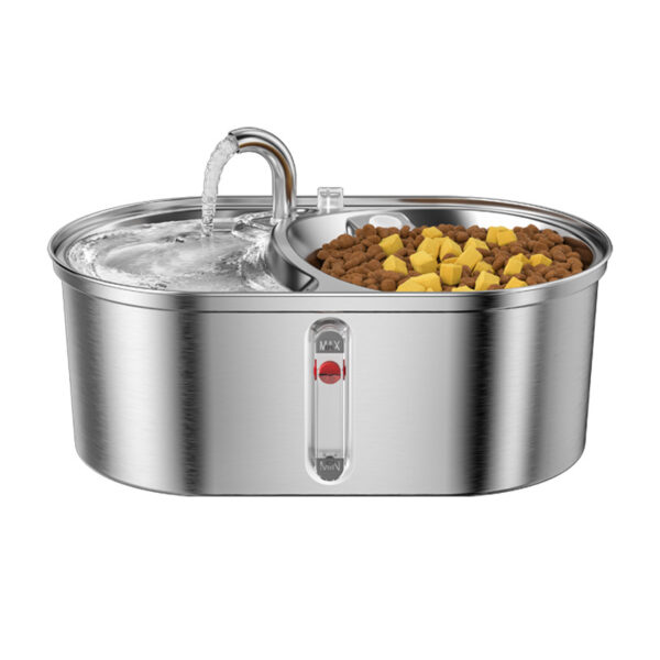 Dog Water Fountain