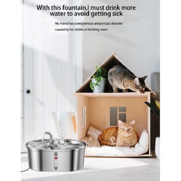 Dog Water Fountain