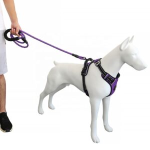 No Pull Dog Harness