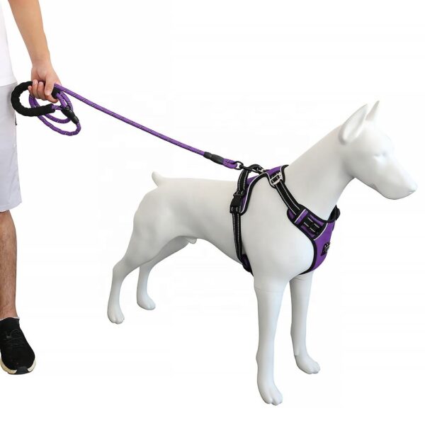 No Pull Dog Harness (10) No Pull Dog Harness