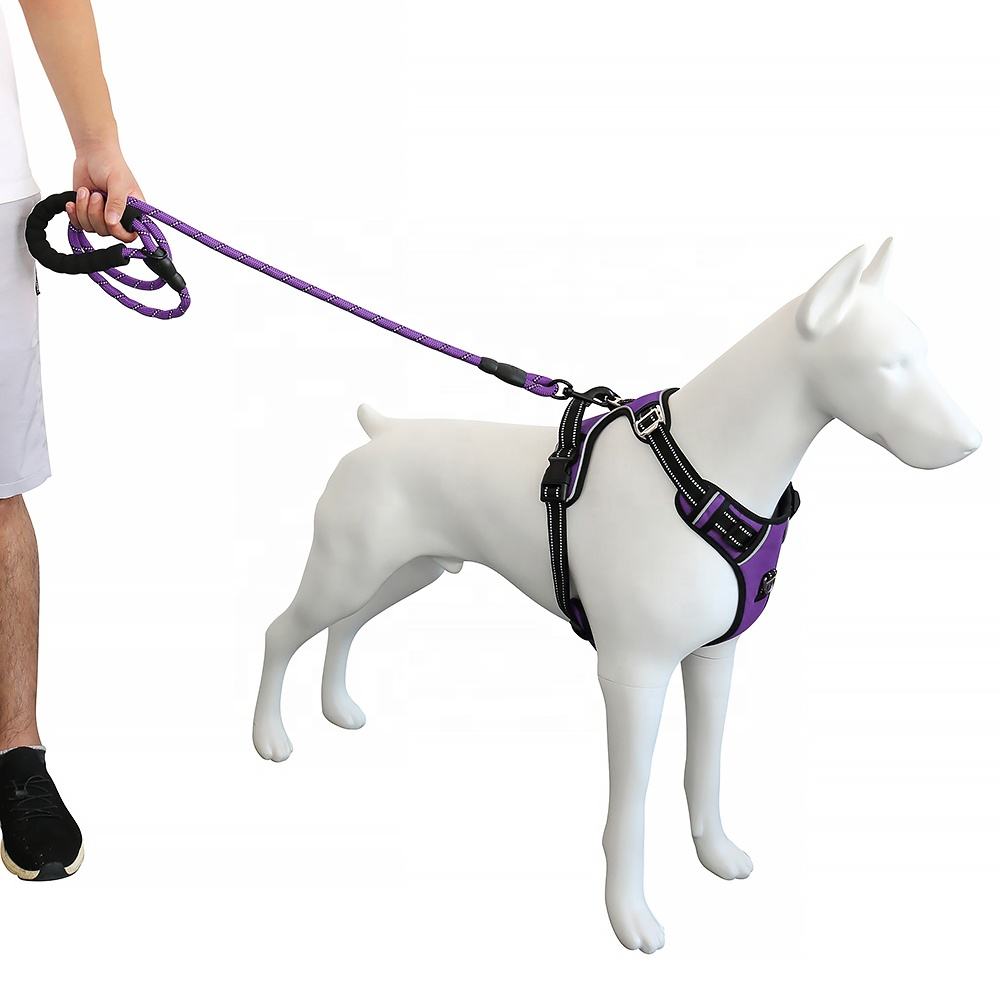 No Pull Dog Harness
