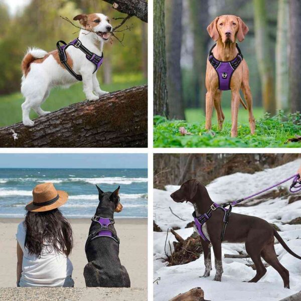 No Pull Dog Harness