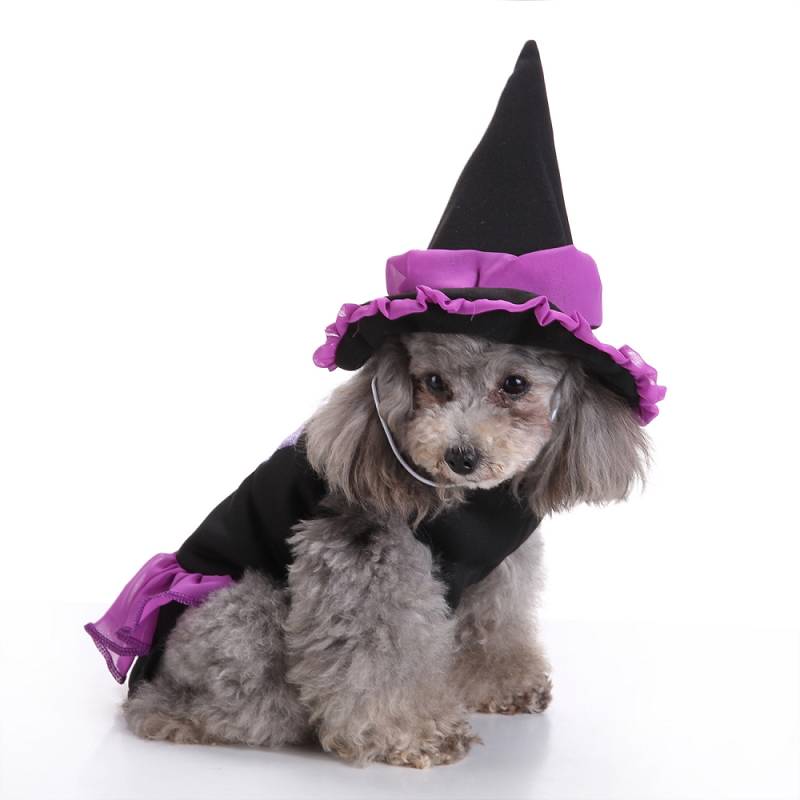 pet costumes