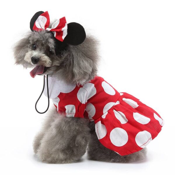pet costumes