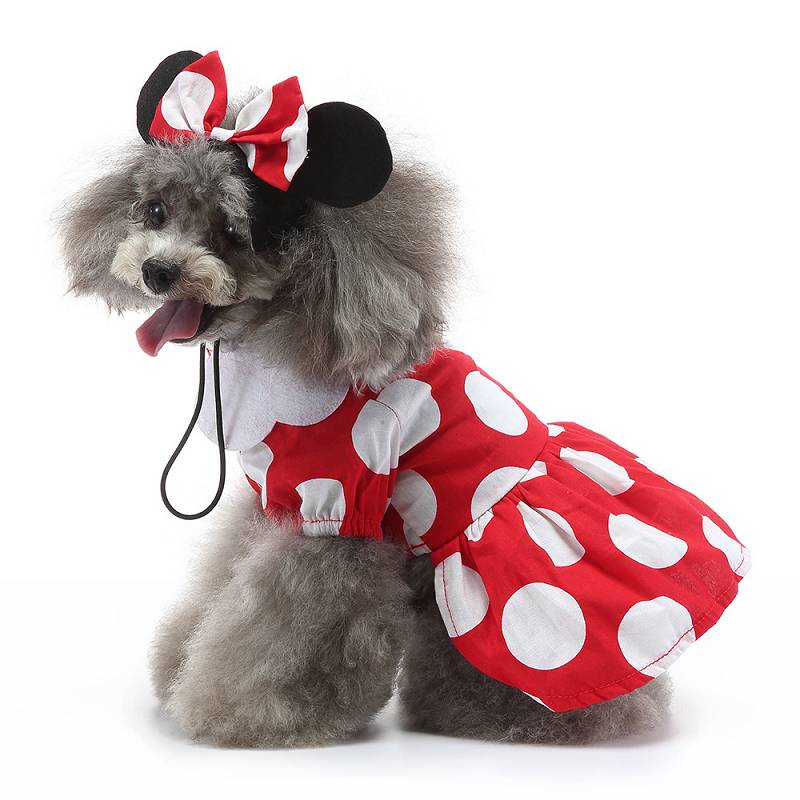pet costumes
