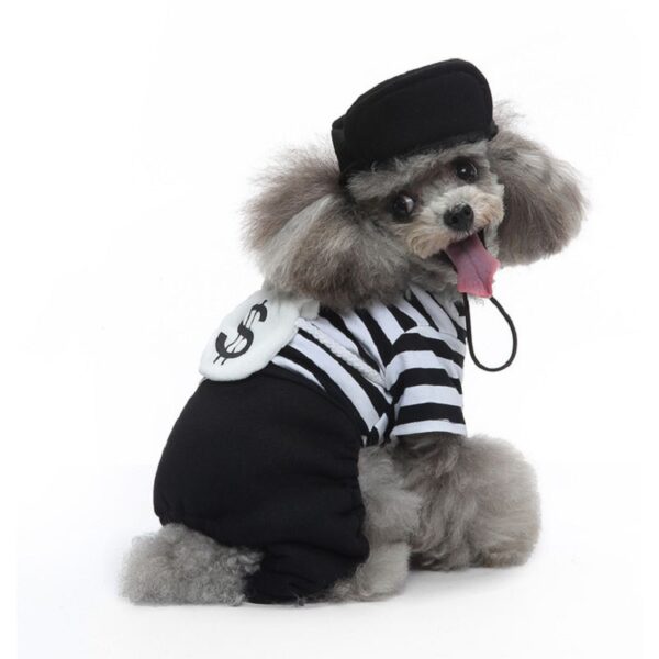 petsmart dog custmes