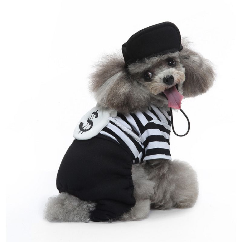 petsmart dog custmes