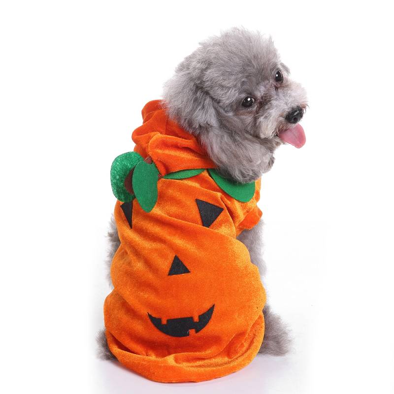 pet costumes