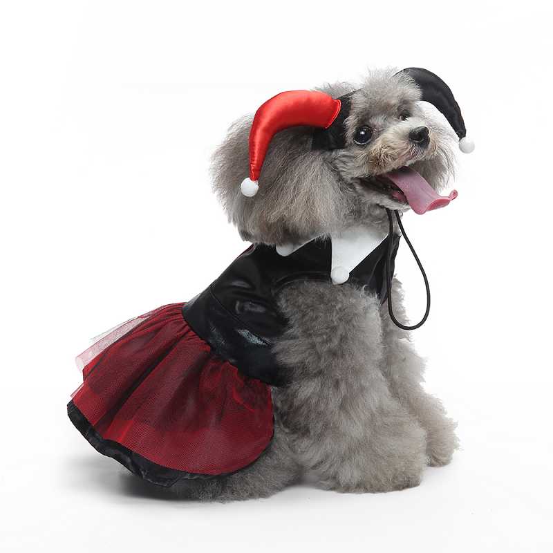 pet costumes