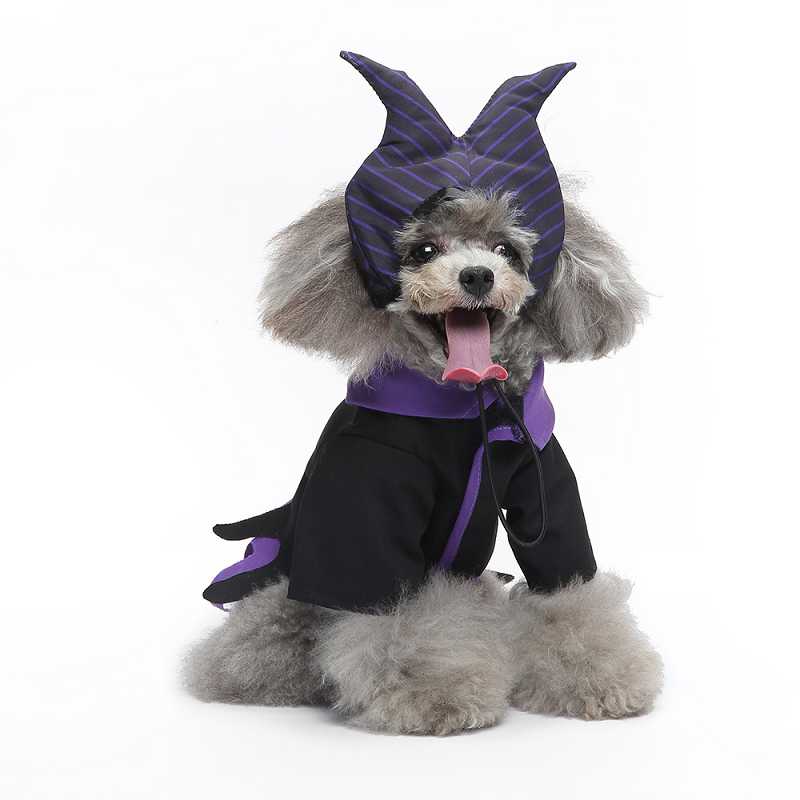 pet costumes