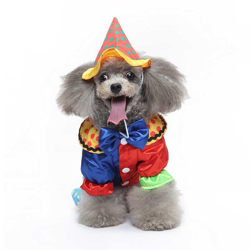 pet costumes