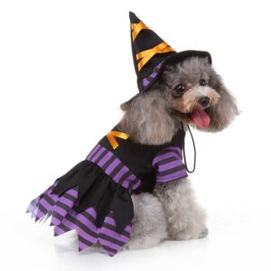 pet costumes