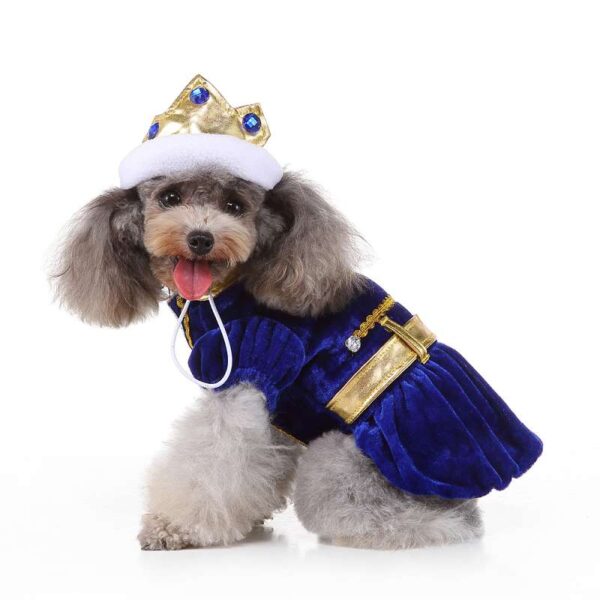 pet costumes