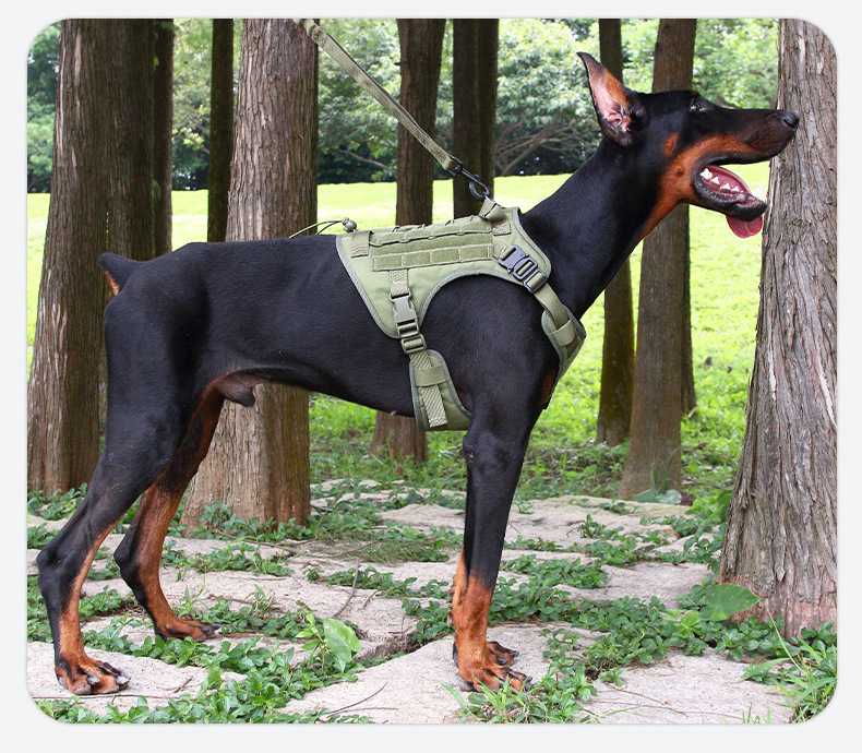 Tactical Dog Harness