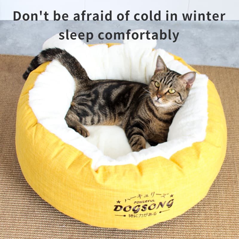 cat bed