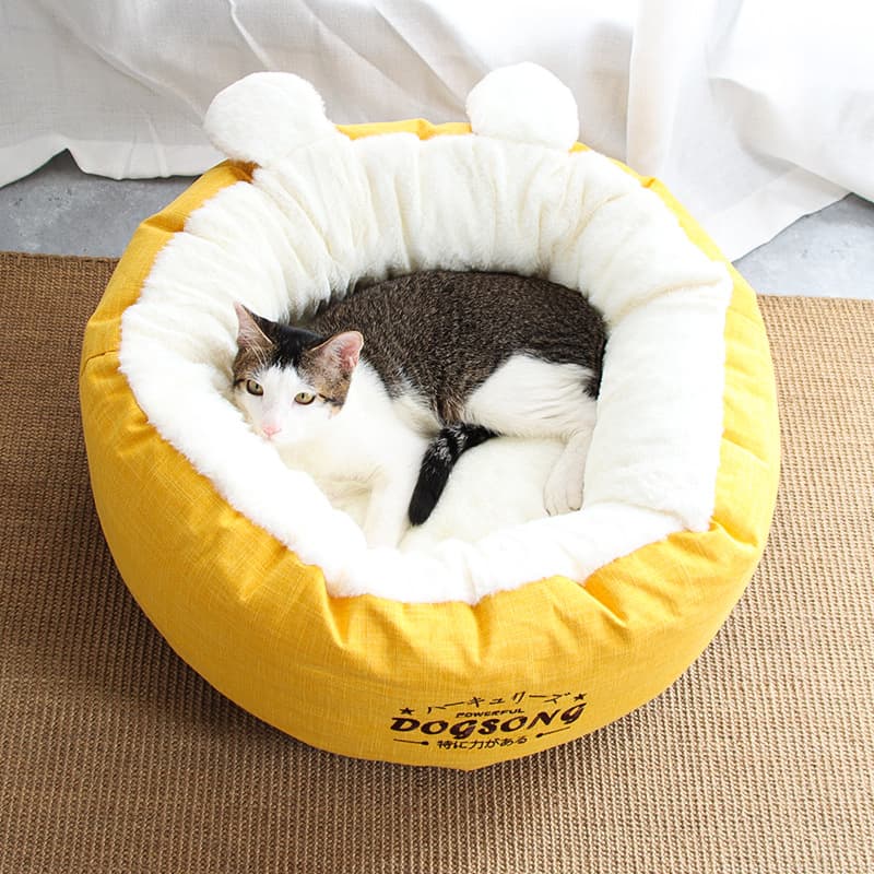 cat bed