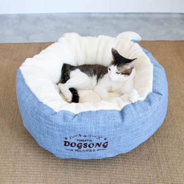 cat bed