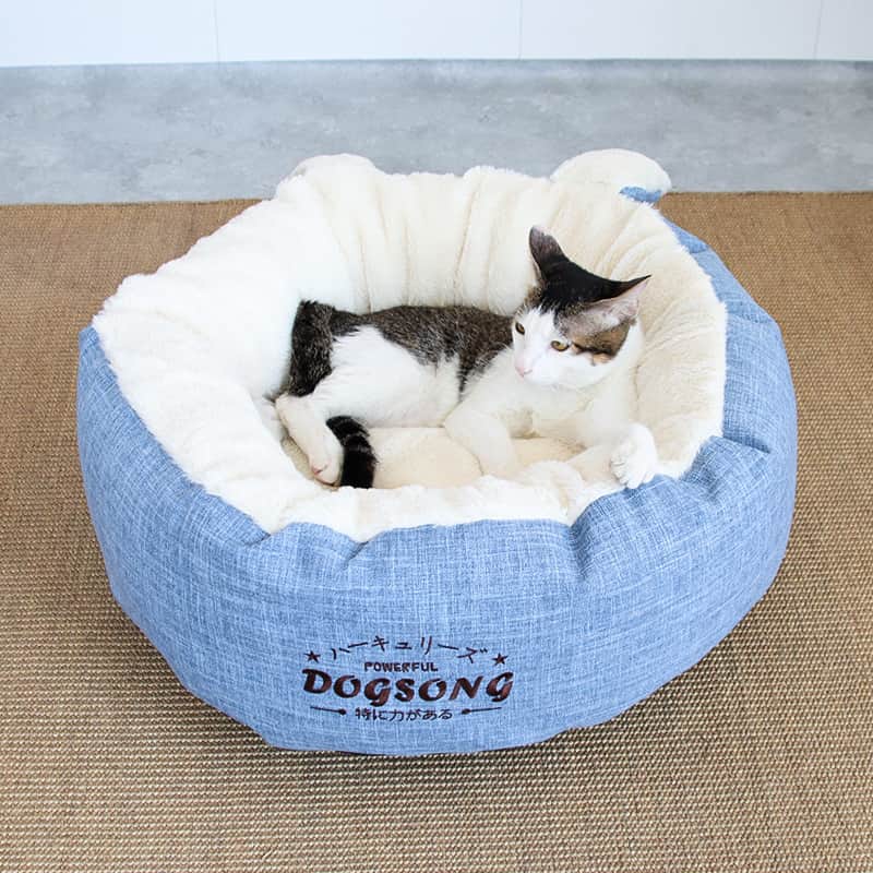 cat bed