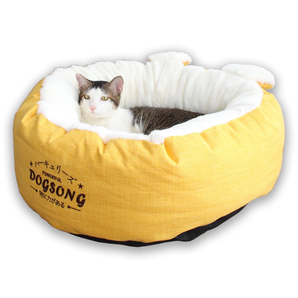 cat bed