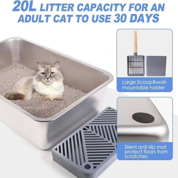cat litter box
