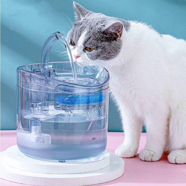 cat water fountain