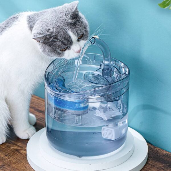 cat water fountain
