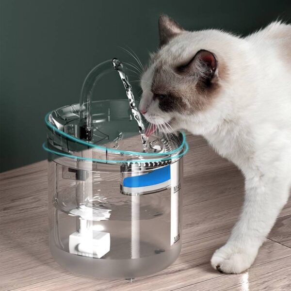 cat water fountain