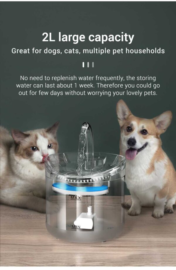 cat water fountain