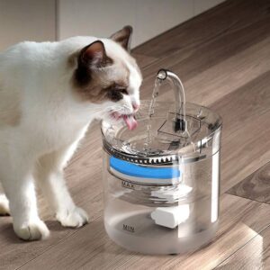 cat water fountain (9) cat water fountain