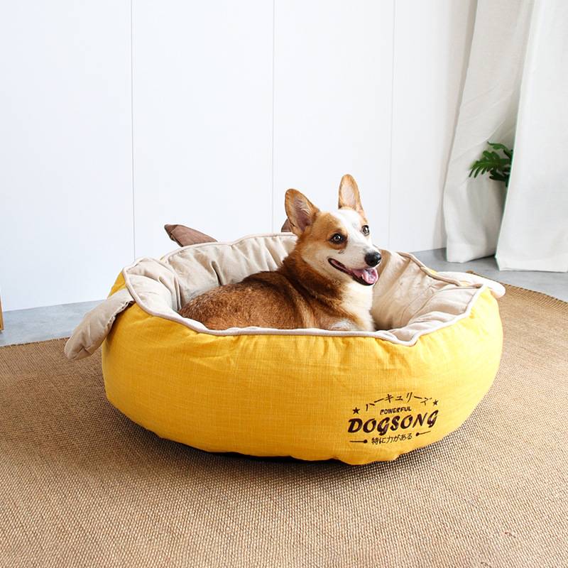 dog bed