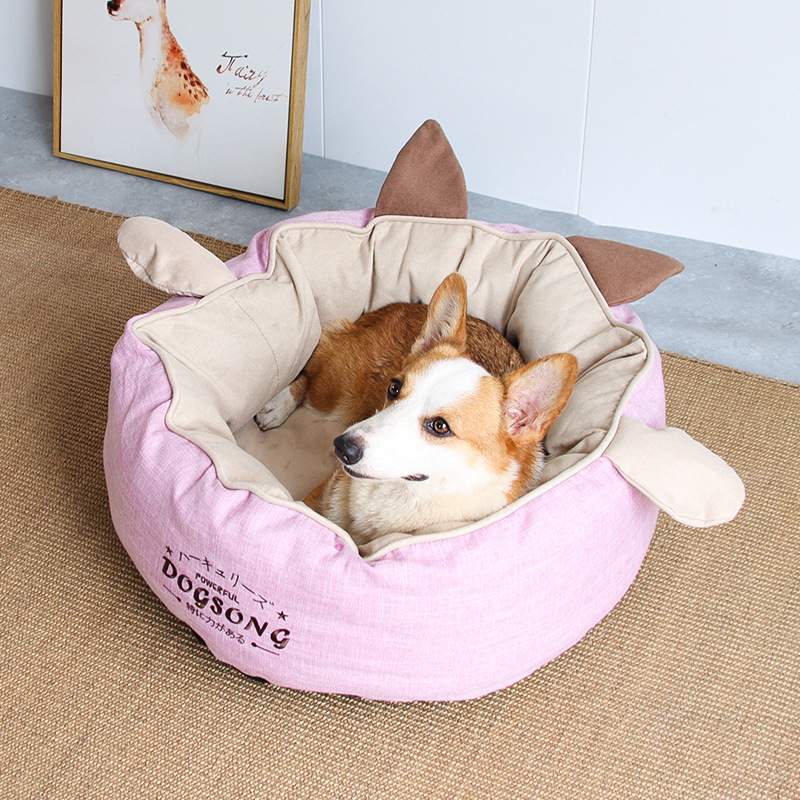 dog bed