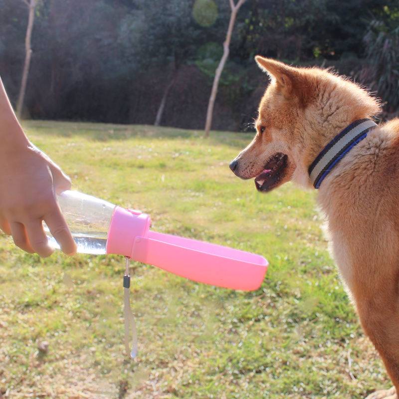 foldable pet water bottle